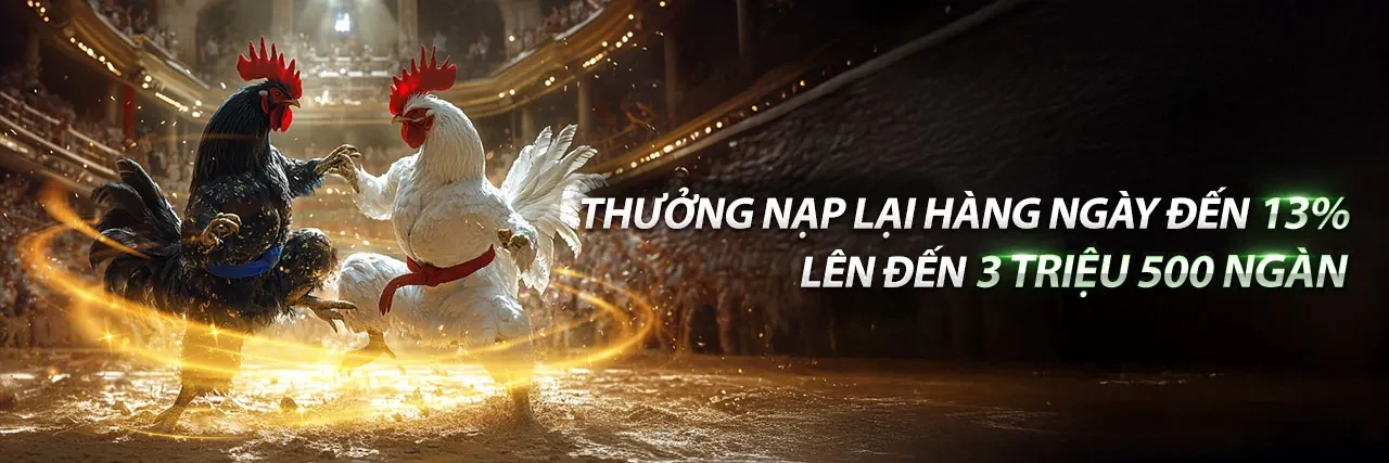 Sới đá gà trực tuyến 789club với không khí sôi động